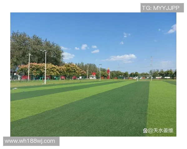 球星私人足球场揭秘 每一寸草地都见证着他们的荣耀与汗水