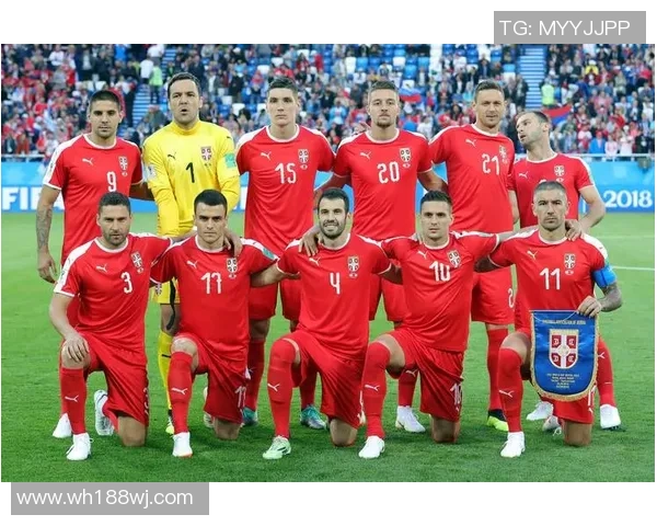 瑞士足球队核心球员分析及未来发展展望